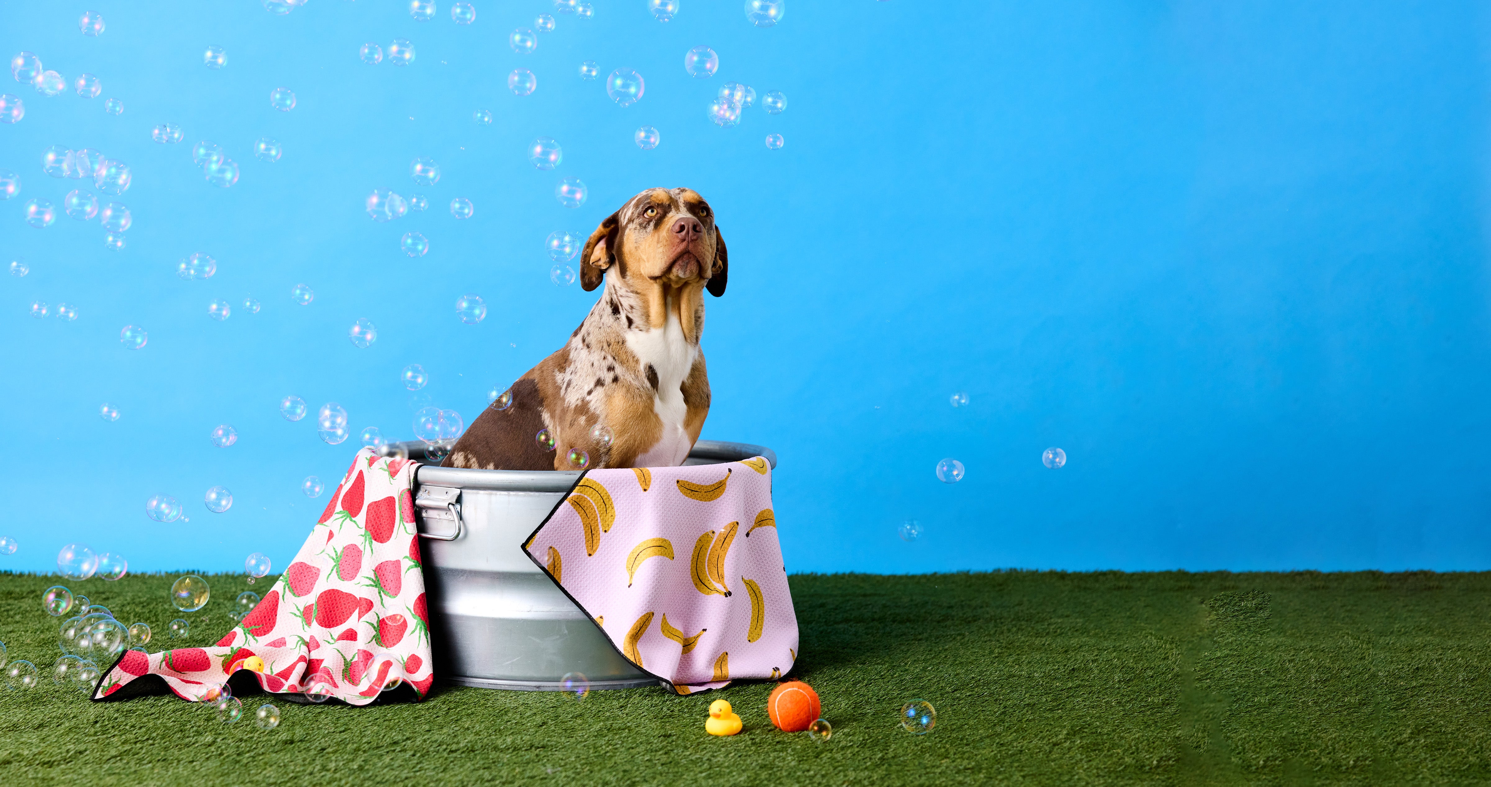 Dog Towels GEOMETRY