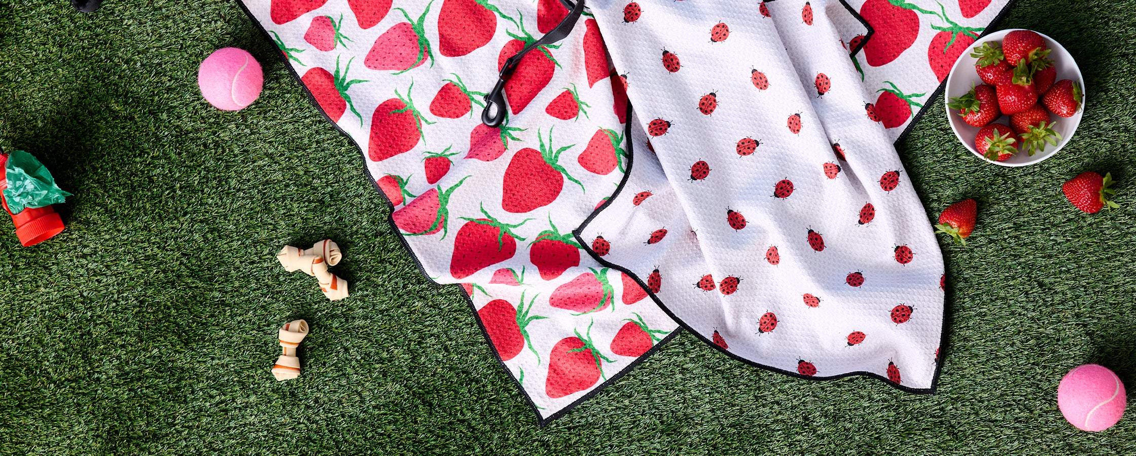 A picnic scene on grass with strawberry-patterned towels, a bowl of fresh strawberries, two pink tennis balls, and small dog toys scattered around.