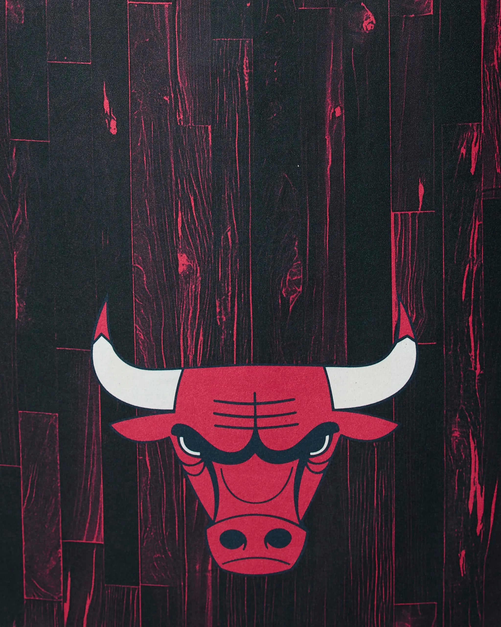 The Geometry Bulls Zone features the Chicago Bulls logo—a red bulls face with white horns—set on a dark wood-patterned background accented in red.
