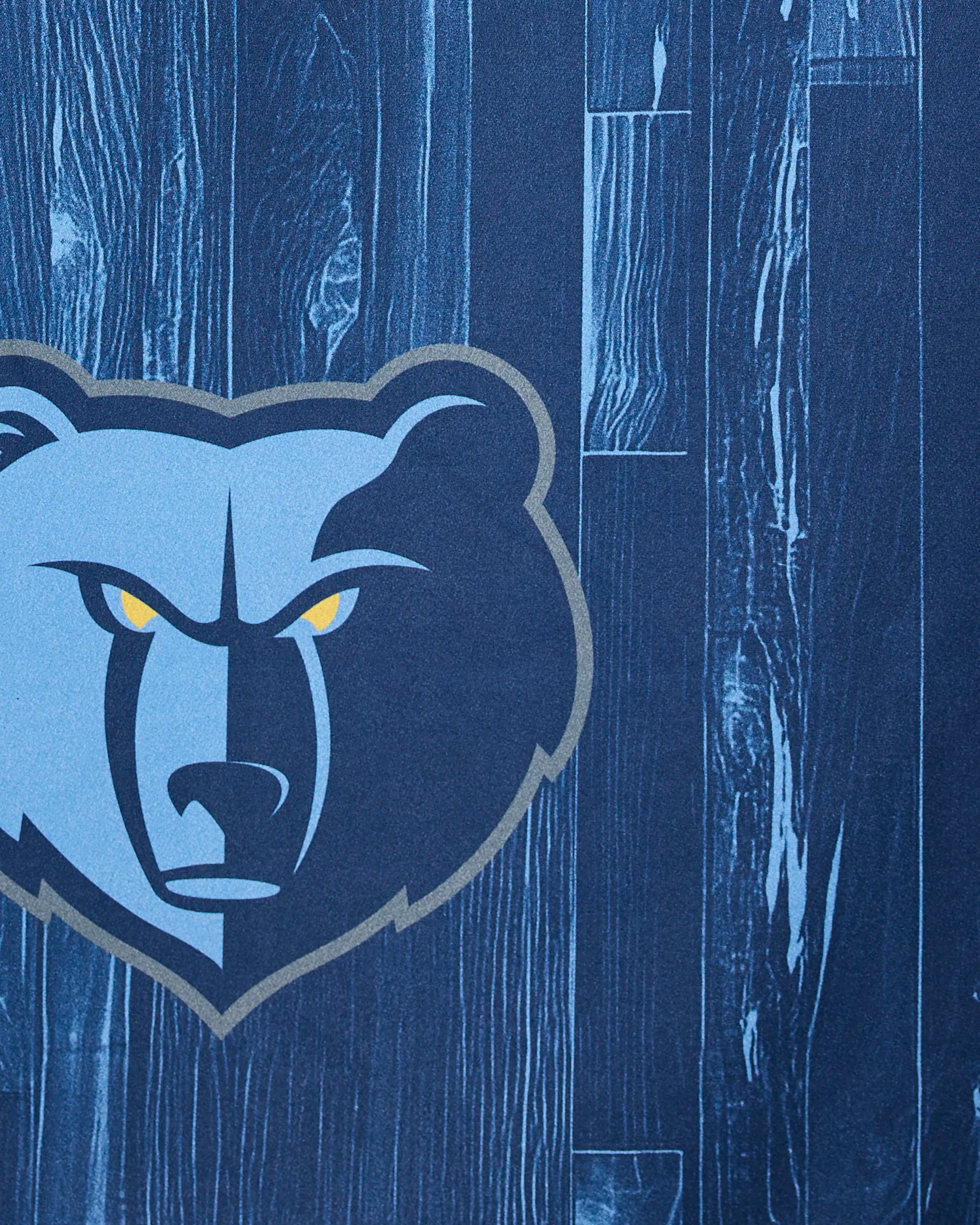 The Grizzlies Zone by Geometry features a stylized bear head logo with yellow eyes set against a blue wood-textured background.