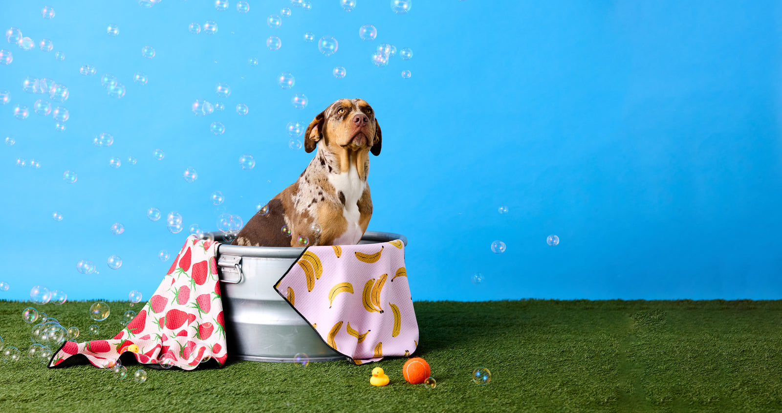 A dog sits in a metal tub with towels draped over the sides, surrounded by bubbles on green grass against a blue background. Toys, including a ball and rubber duck, are nearby.