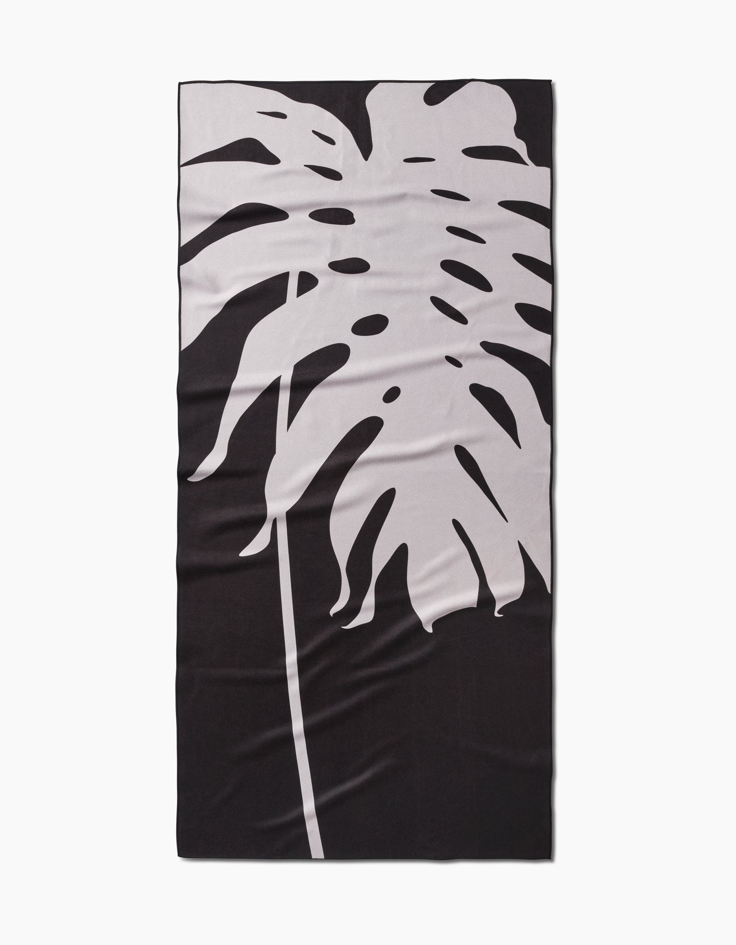 Monstera