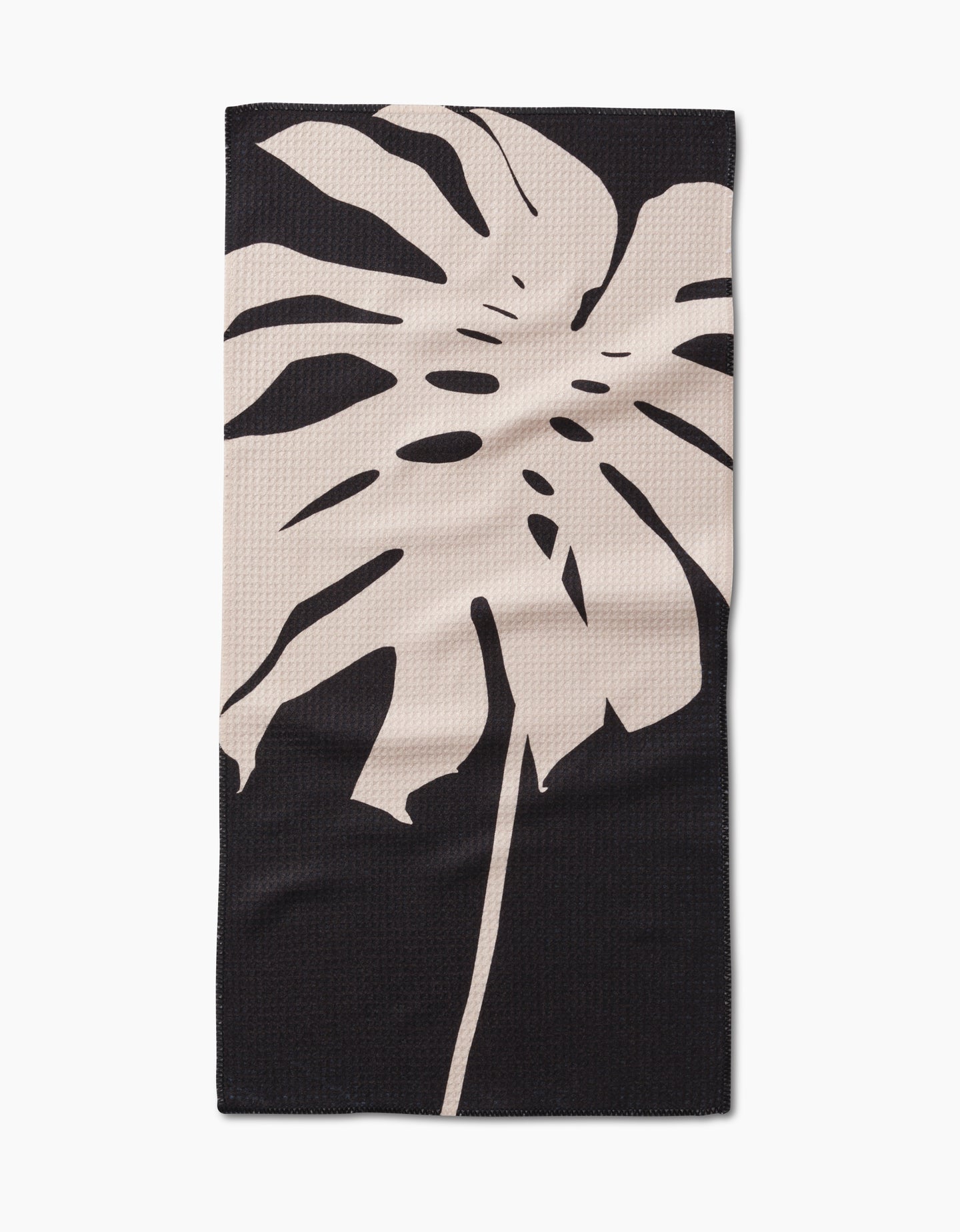 Cream Monstera