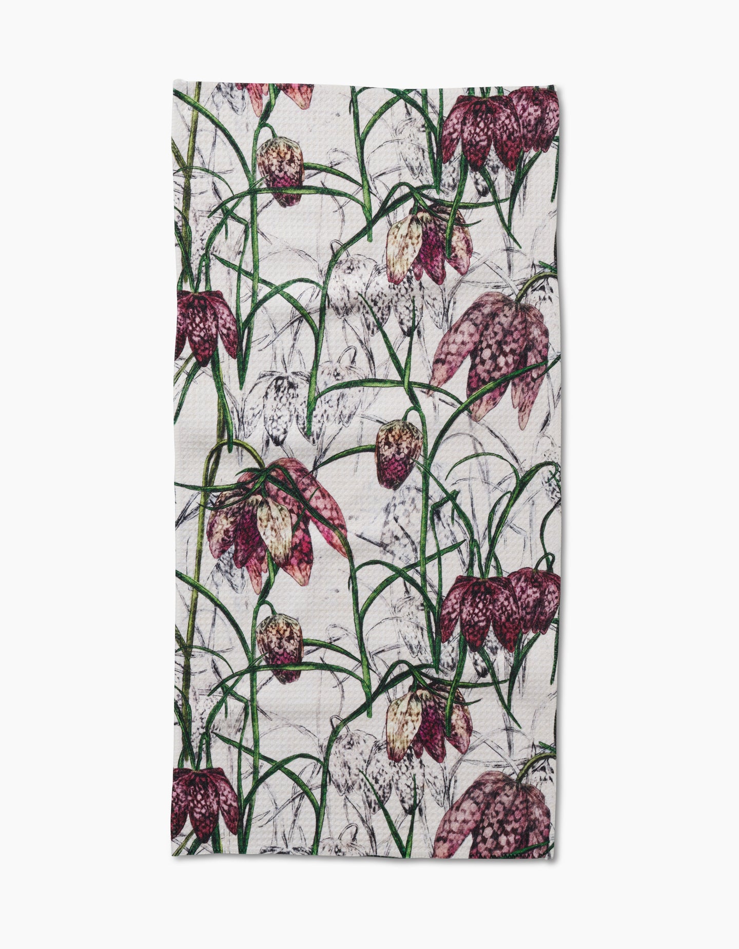 Fritillaria