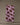 The Lagoon Crawl bar towel by Geometry features a pink geoweave fabric with a repeating black and red turtle pattern and black dots, hanging on a clothesline against a neutral background.