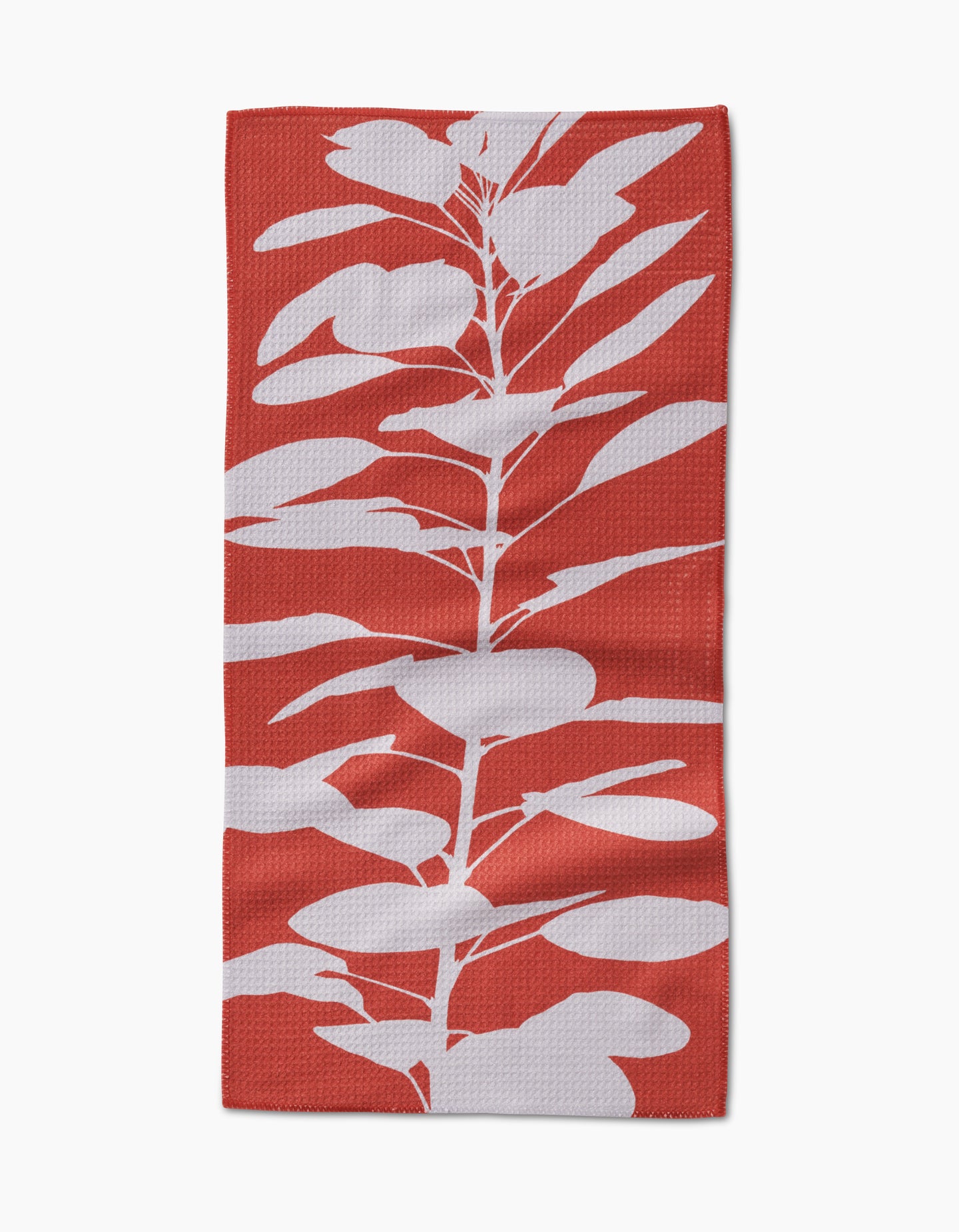 Smoketree