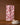 Geometrys Watercolor Dreaming recycled kitchen towel, featuring a red and pink leafy pattern, hangs on a clothesline above stacked white plates and a dish brush, all set against a coordinating brown background.