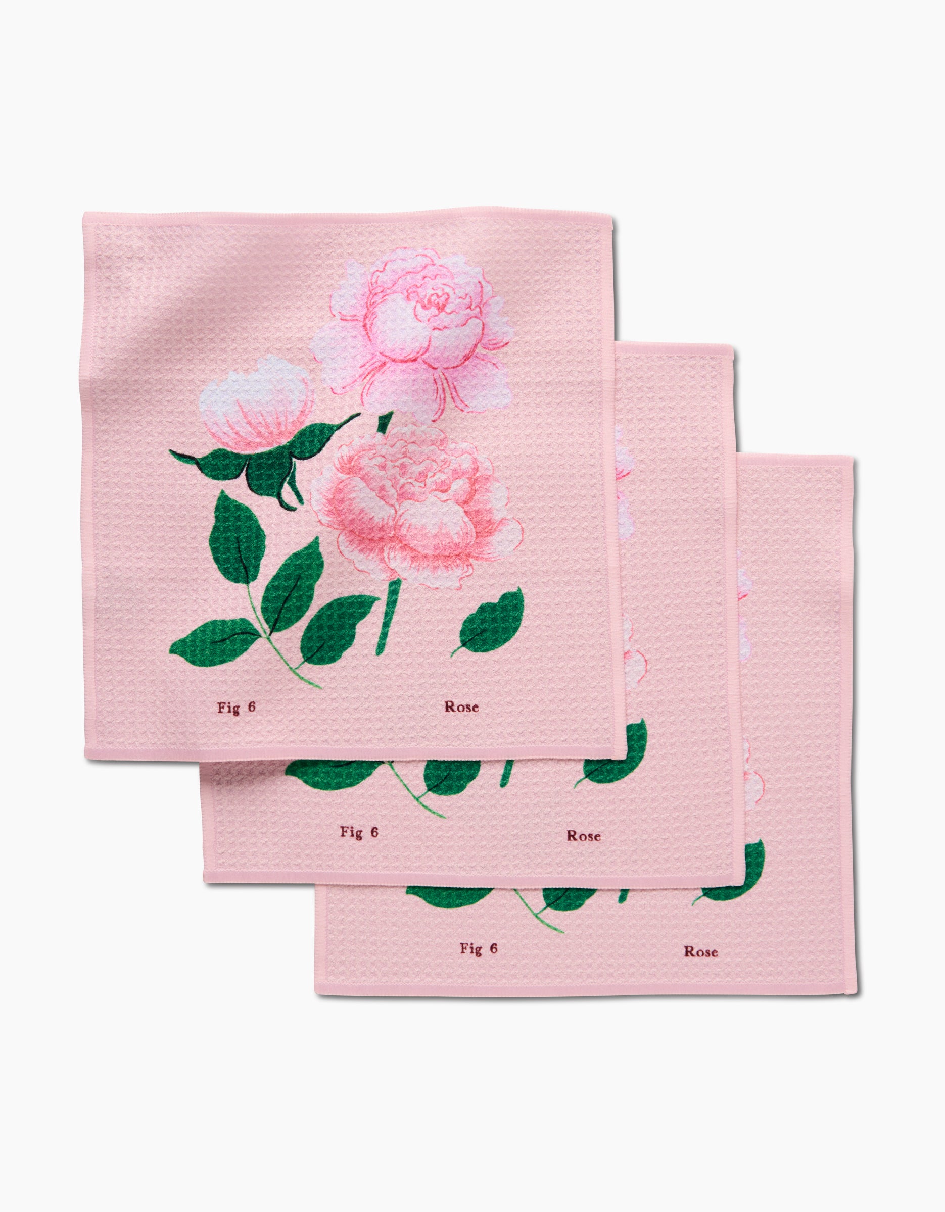 June Roses