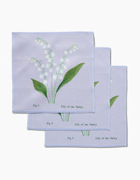 May Lilly Of The Valley