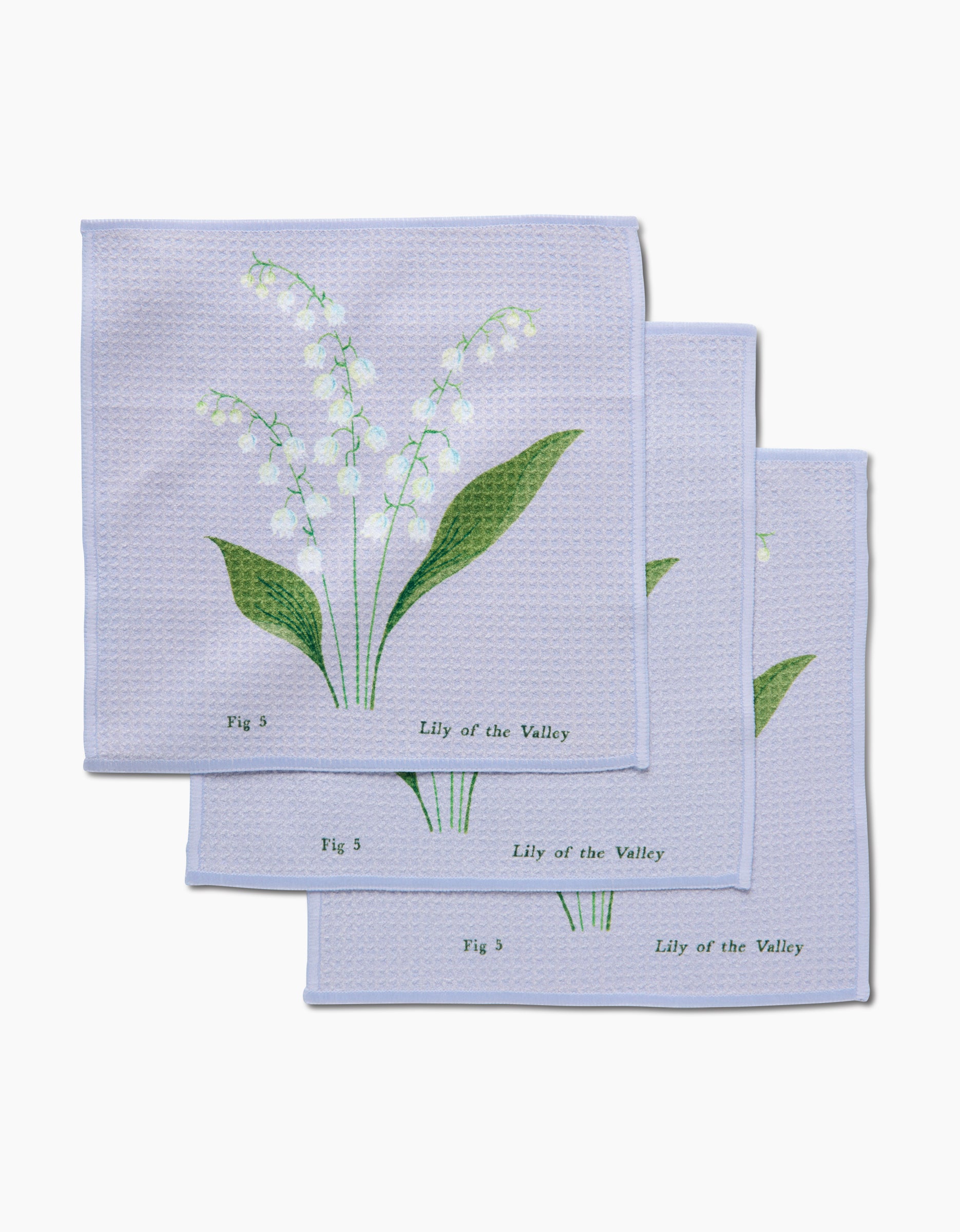May Lilly Of The Valley