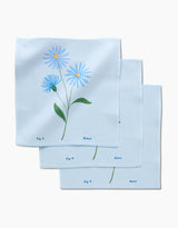 September Aster