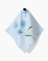 September Aster