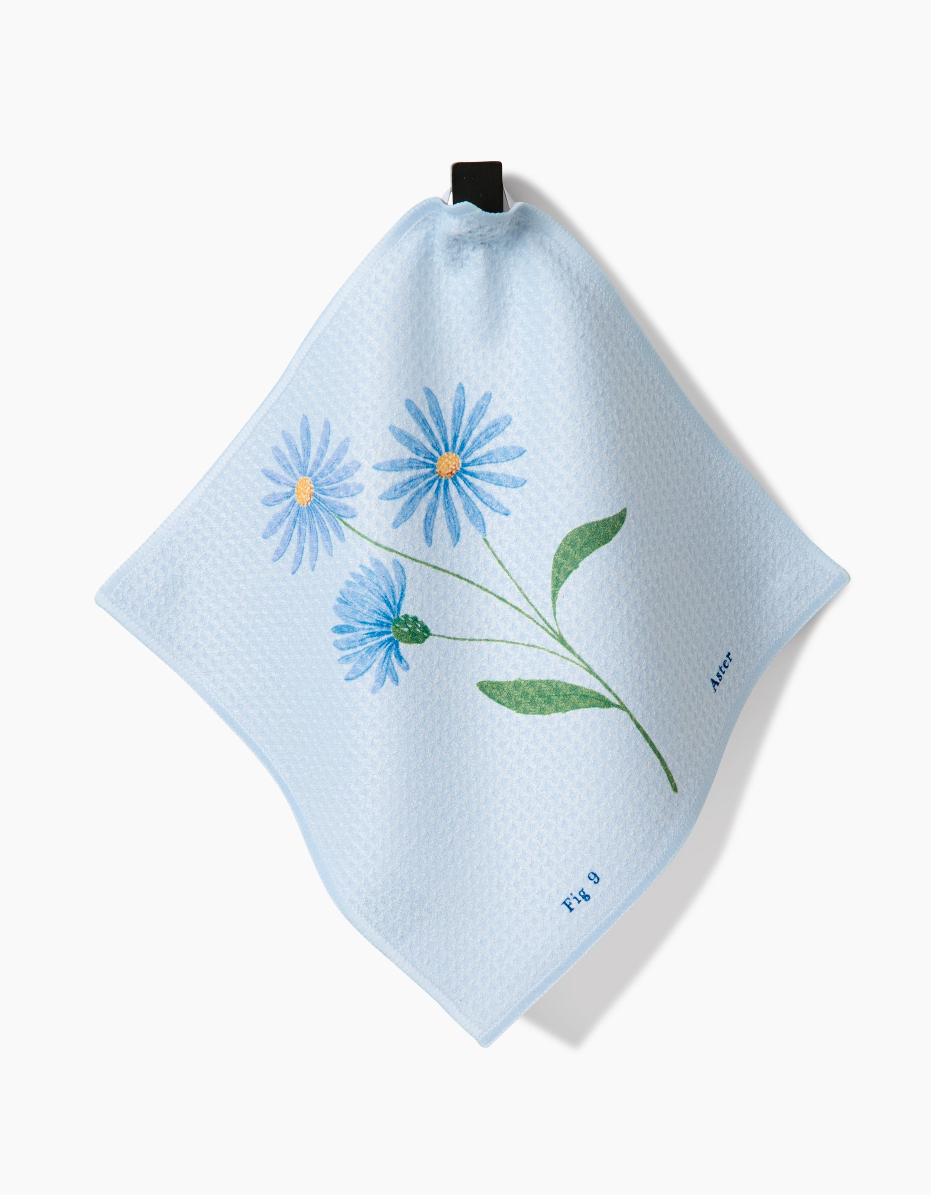 September Aster