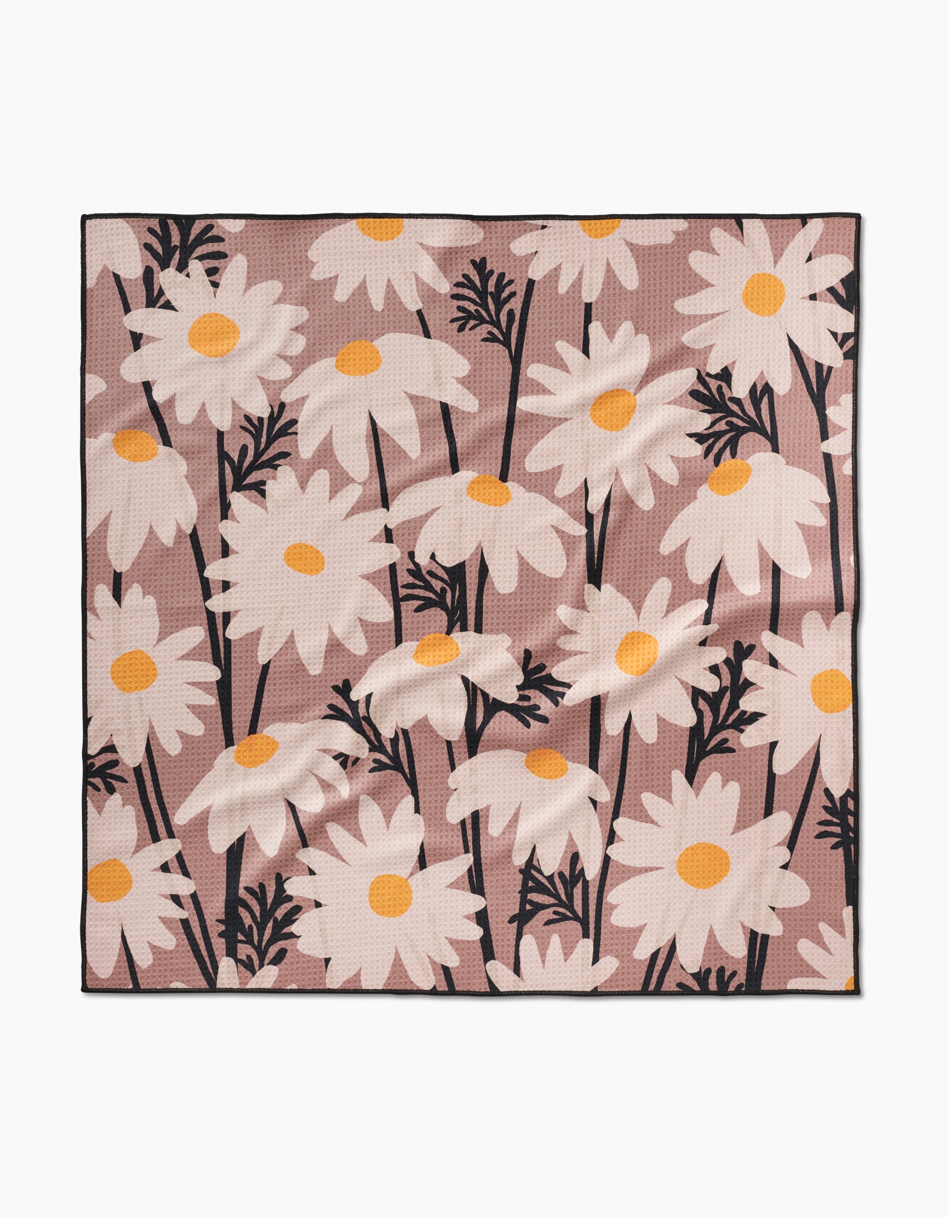 Sweet Daisies