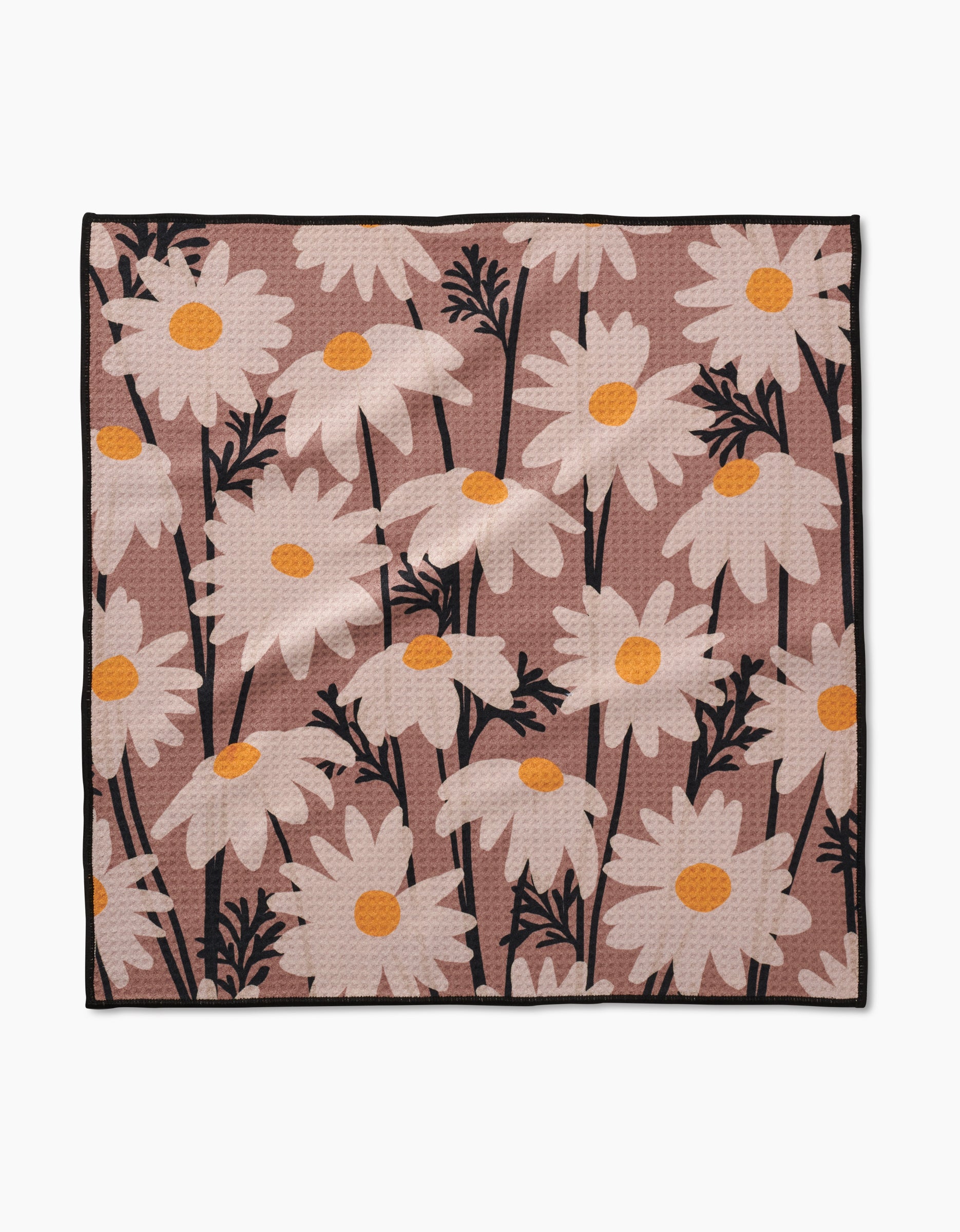 Sweet Daisies