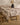 On a wooden table rests Geometrys Western Scene lightweight, stain-resistant tablecloth with nature designs. The setting includes a black dried-flower vase, two salt and pepper shakers, white cup and saucer, and a wooden stool on wood flooring.