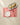 A white bowl, a knife, and a scalloped dish with three pears are arranged on Geometry’s Ripe Tomato Gingham placemat atop a light-colored tablecloth.