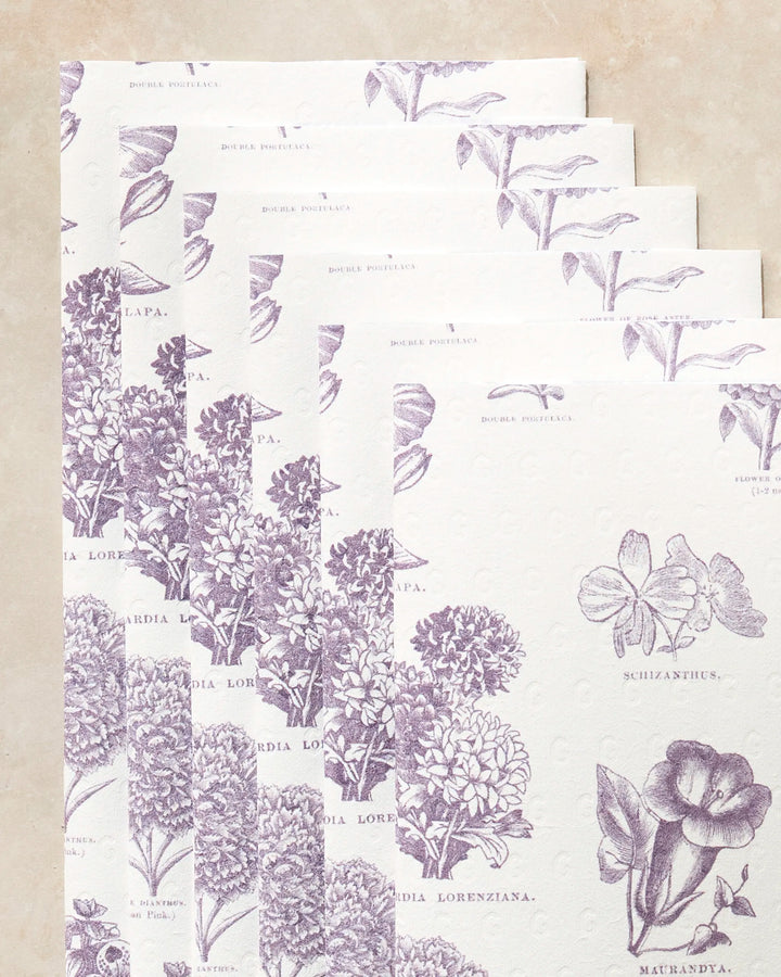 Six white Geometry Flower Glossary reusable paper towels featuring detailed purple botanical illustrations and plant names, displayed fanned out on a beige surface.