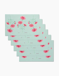 January Carnation