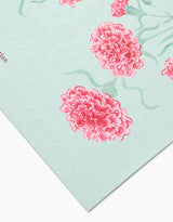 January Carnation