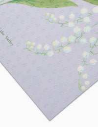 May Lilly Of The Valley