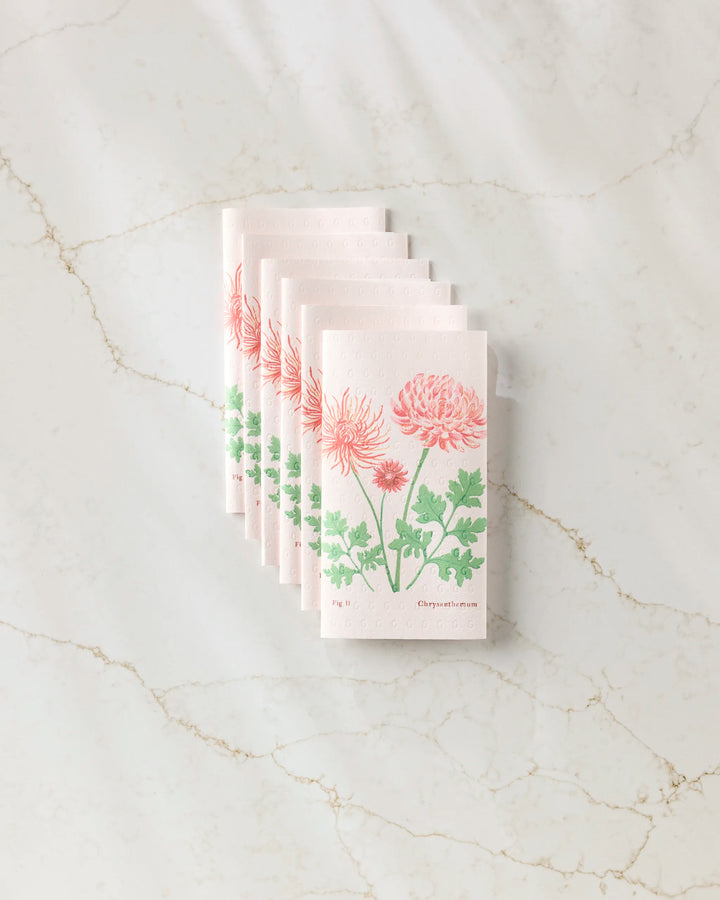 Six pastel November Chrysanthemum seed packets by Linda Fox, featuring pink chrysanthemum and green leaf designs on recycled paper, are arranged in a neat fan shape atop a light marble surface.