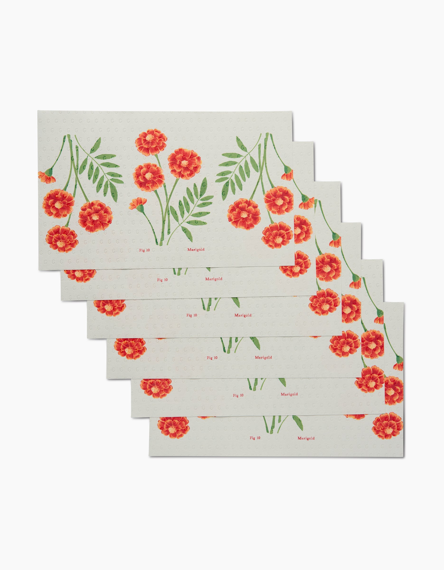 Six rectangular notecards by Linda Fox, made from recycled materials, display orange marigold flowers and green leaves on white. Each October Marigold card partially overlaps the next and features Marigold printed on it.