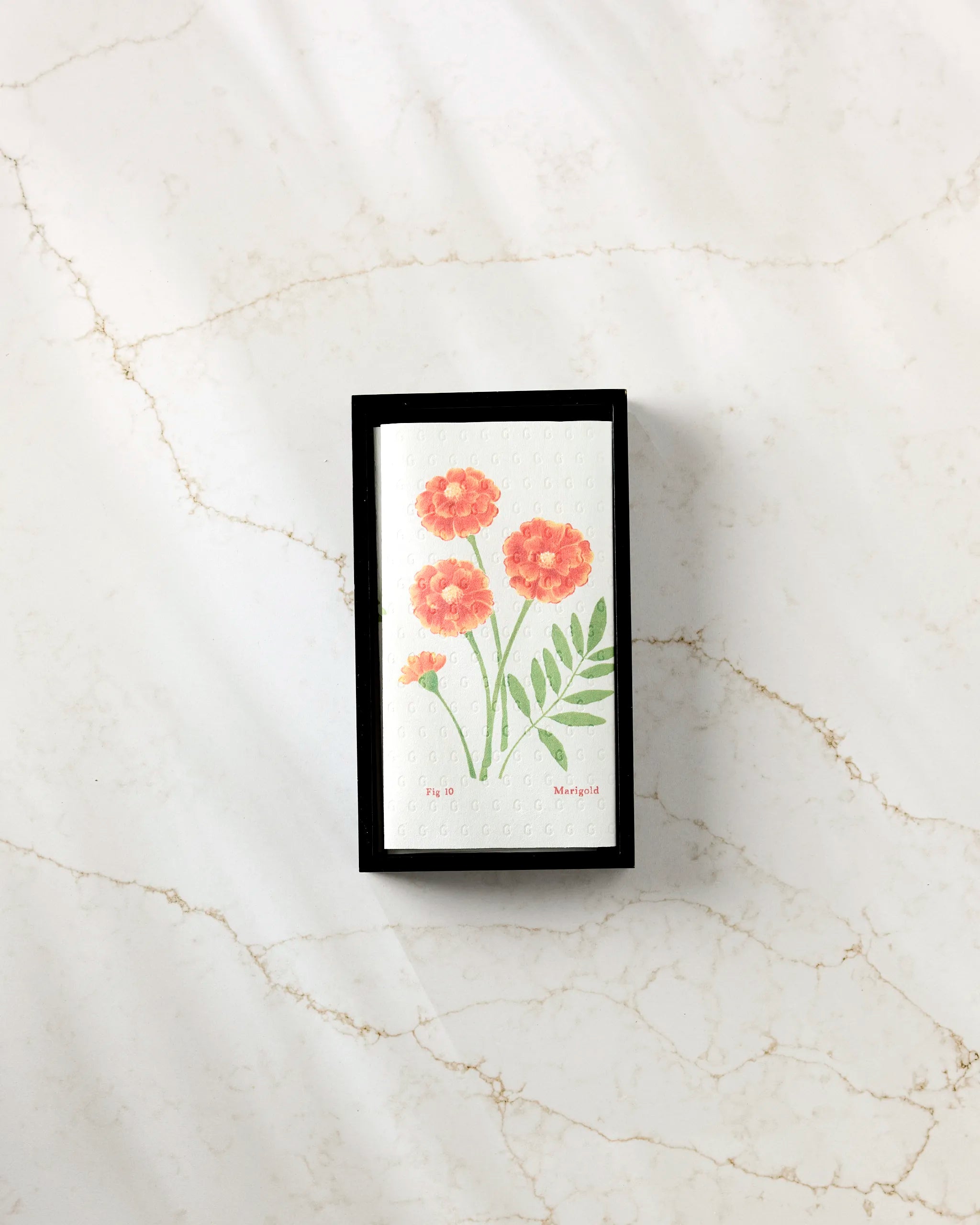 The October Marigold card by Linda Fox features three orange marigolds and green leaves on a white rectangle, presented in a black box—an elegant gift to pair with eco-friendly paper towels.