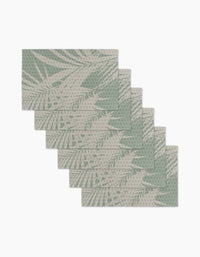 Palm Breeze