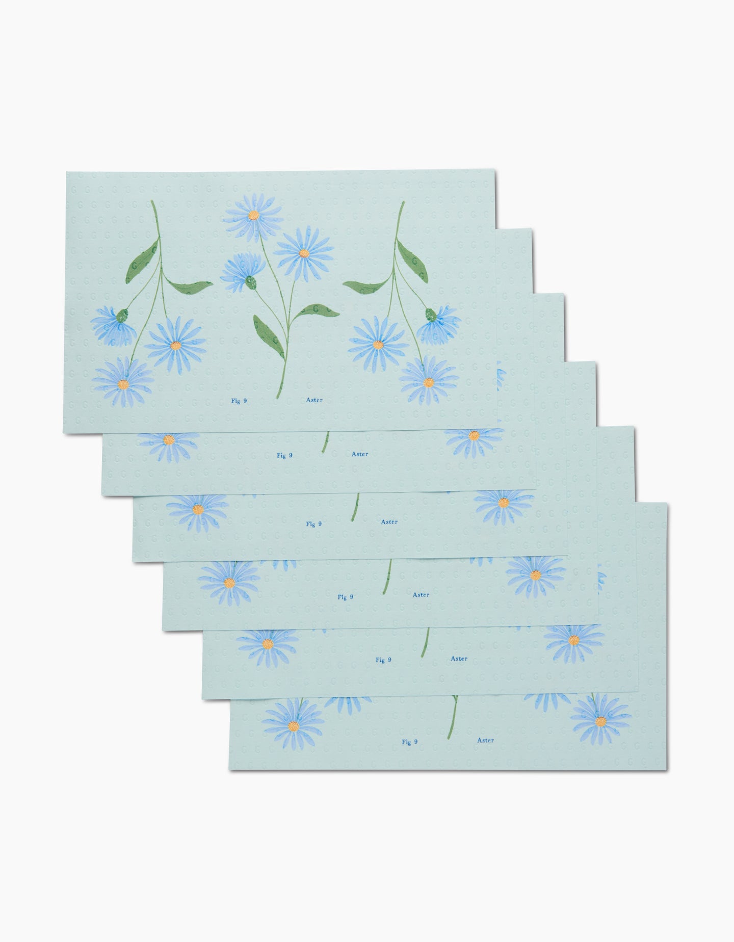 September Aster