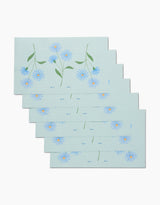 September Aster