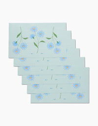 September Aster