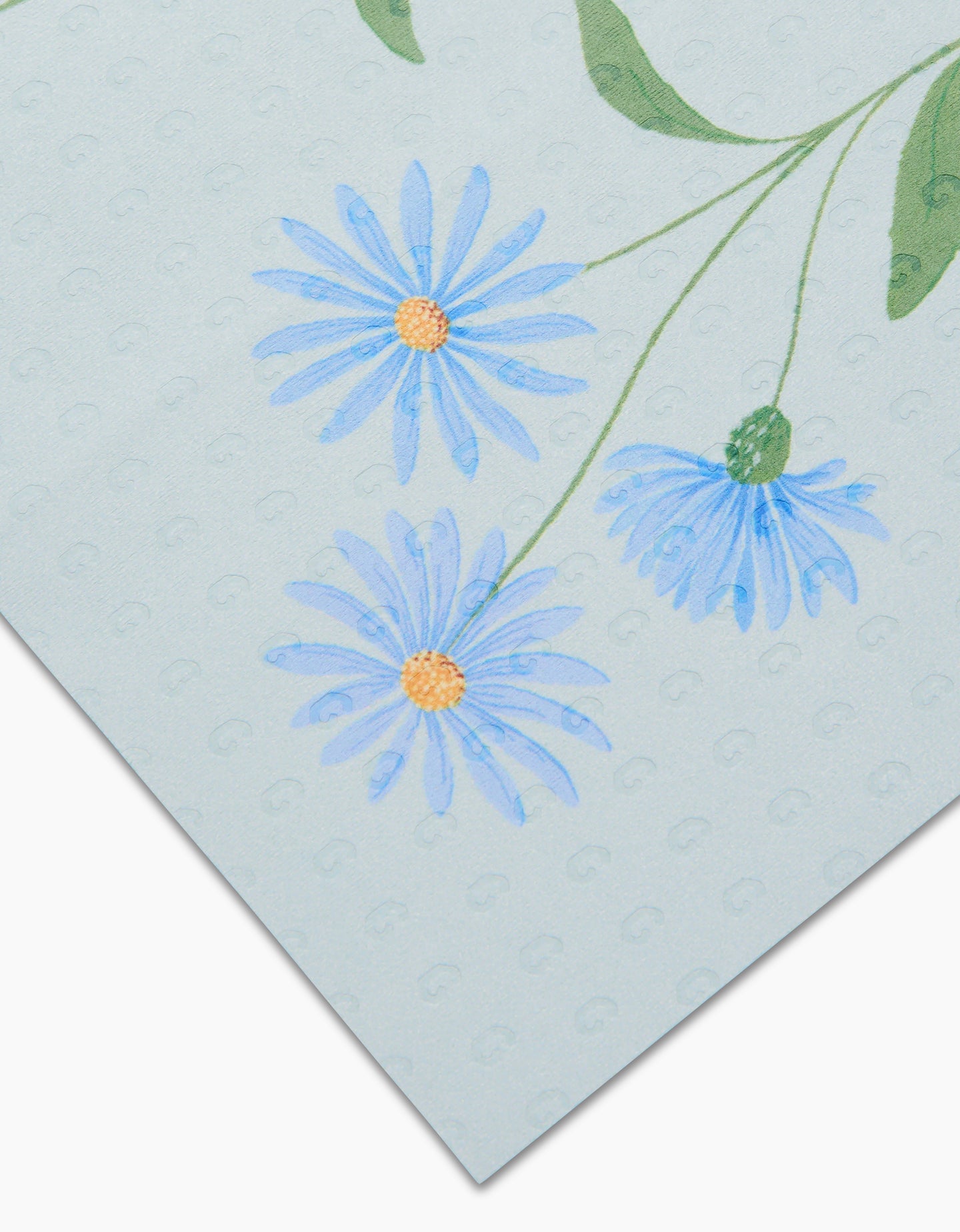 September Aster