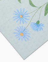 September Aster