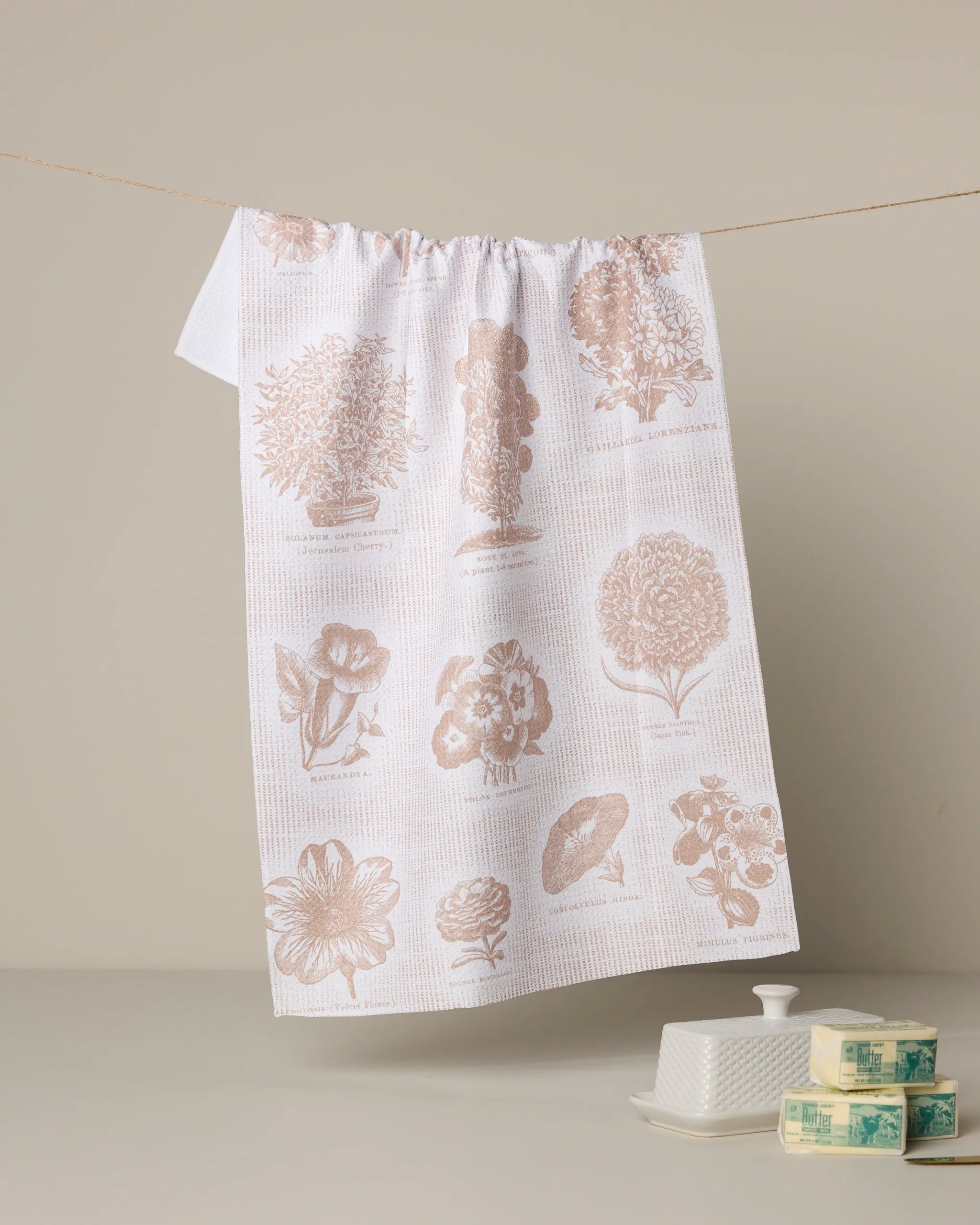A white, ultra-absorbent Geometry tea towel—Floral Glossary design with light brown botanical prints—hangs on a clothesline above a butter dish and two stacked soap bars set on a neutral surface against a beige background.