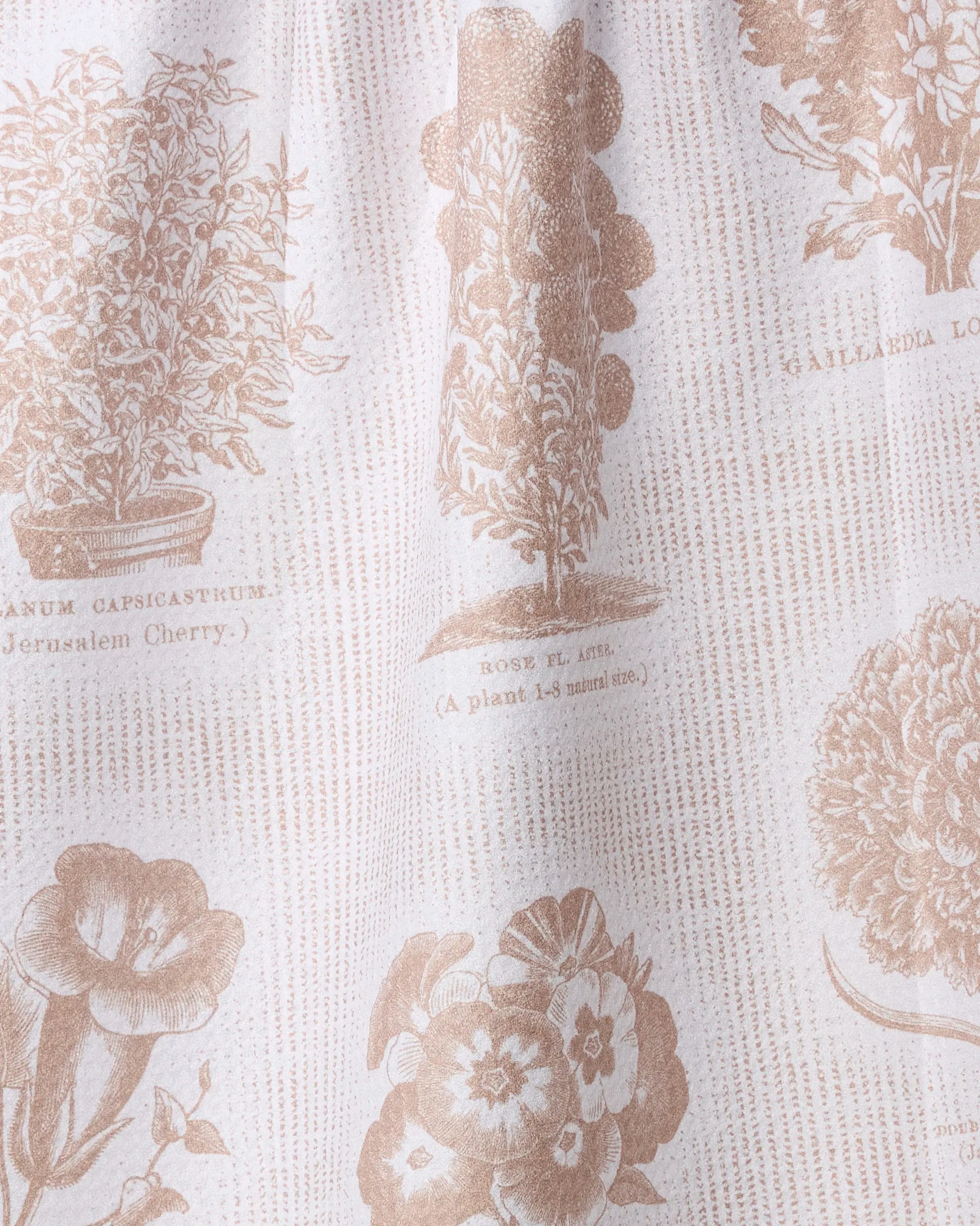 The Floral Glossary tea towel by Geometry features beige botanical illustrations with scientific names on white textured fabric—ultra-absorbent and perfect for your kitchen.