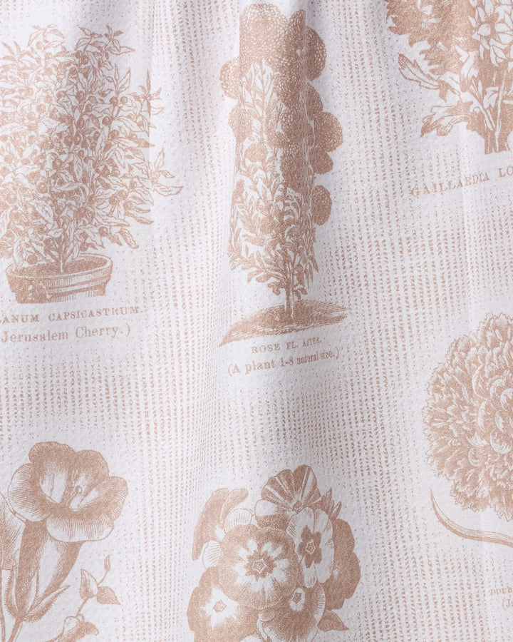 The Floral Glossary tea towel by Geometry features beige botanical illustrations with scientific names on white textured fabric—ultra-absorbent and perfect for your kitchen.