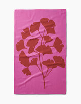 Ginkgo