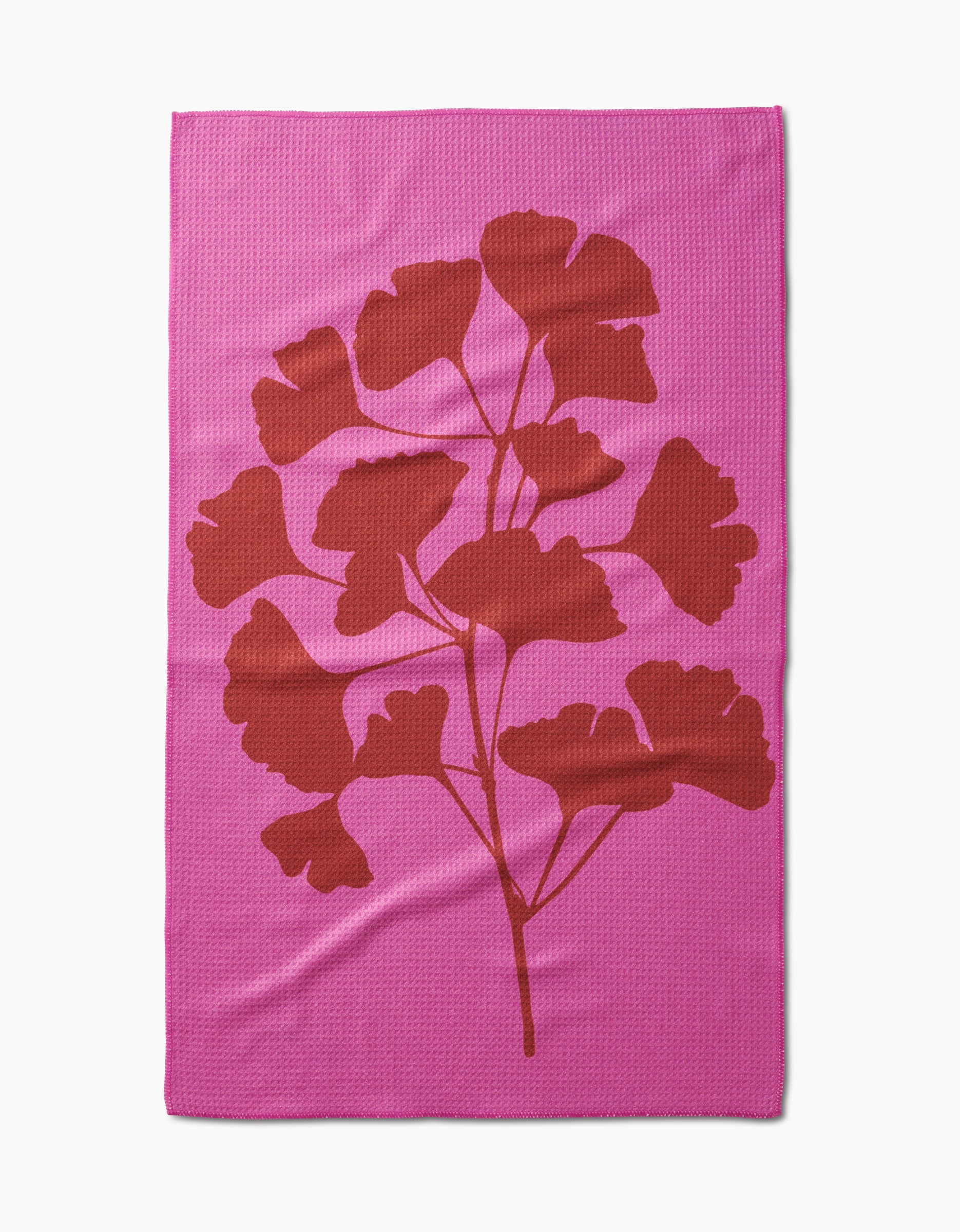 Ginkgo