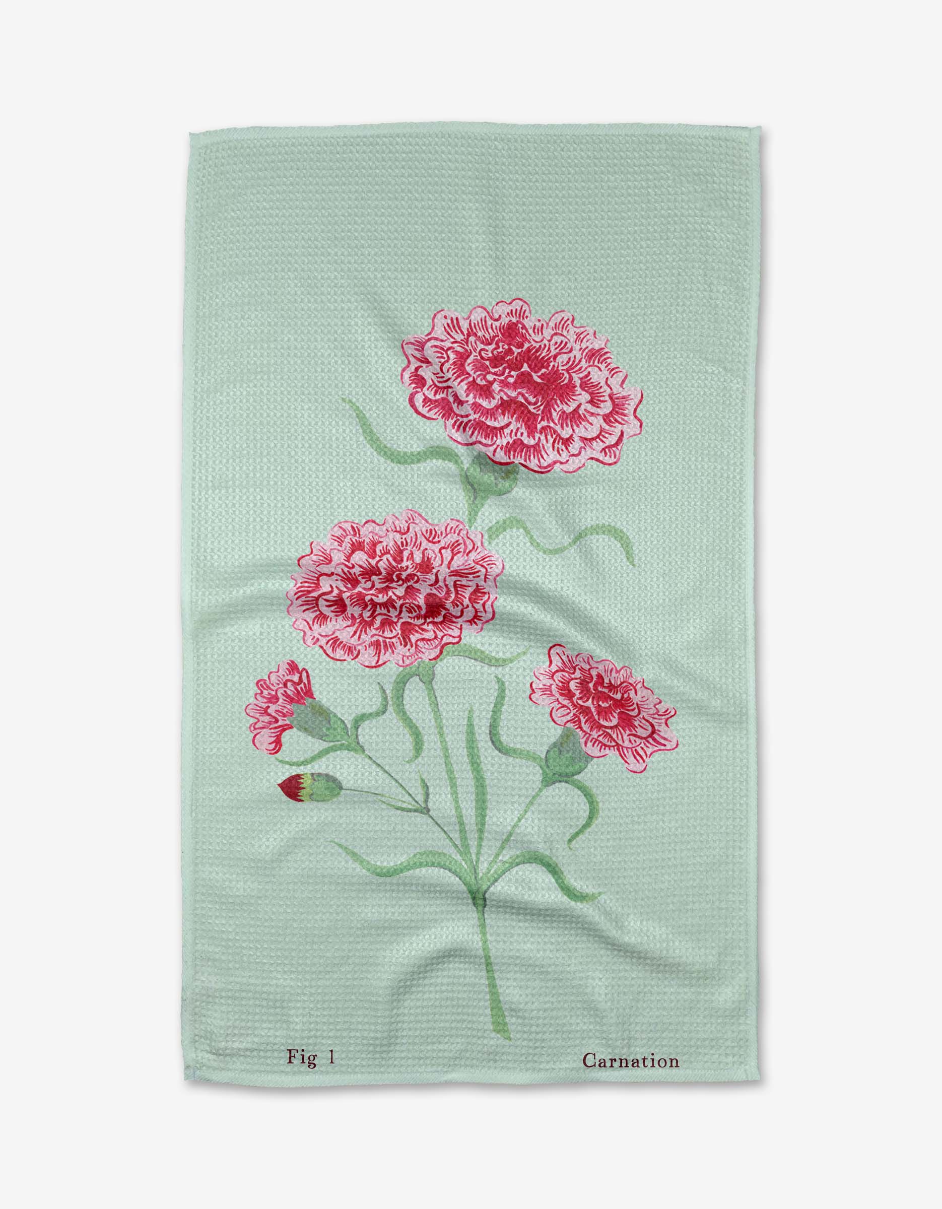 January Carnation