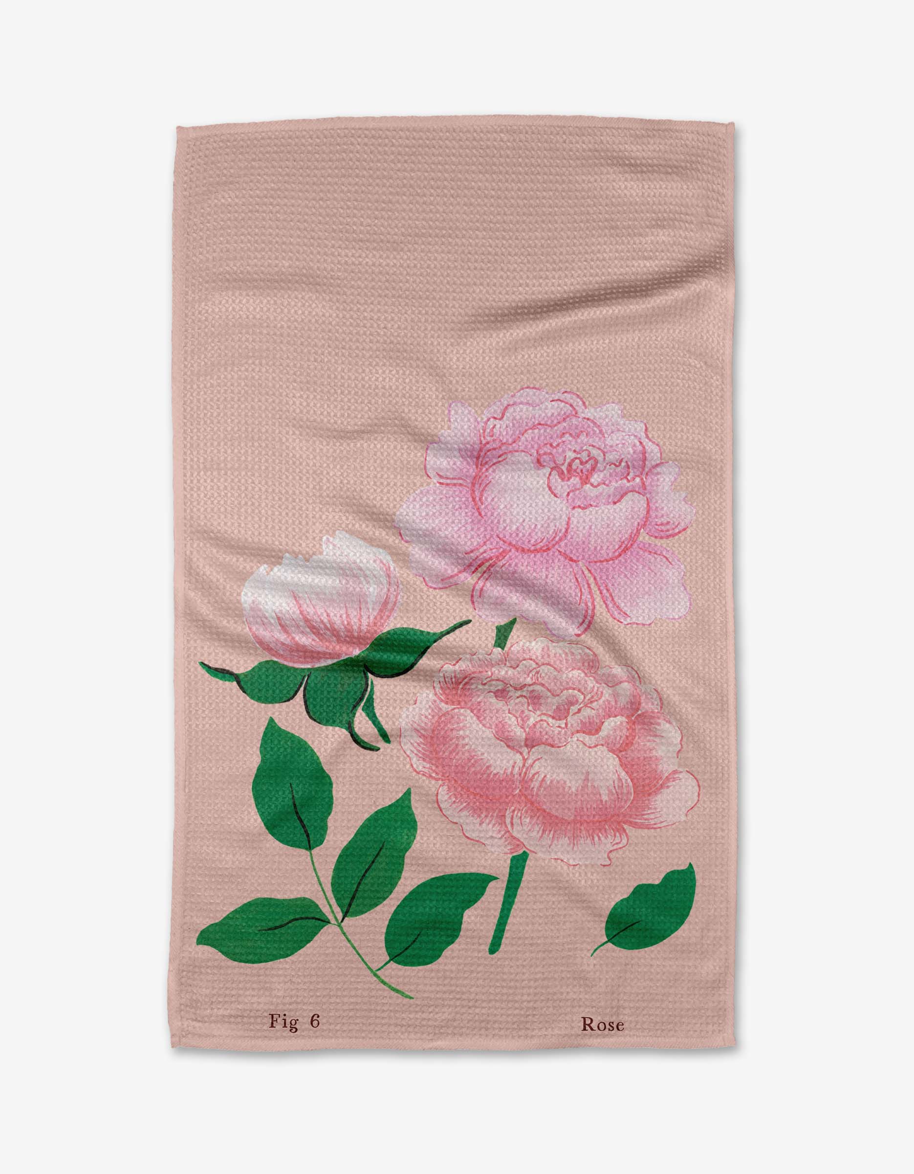 June Roses
