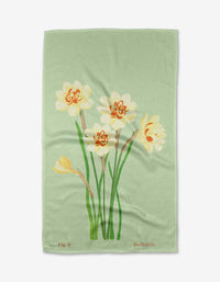 March Daffodils