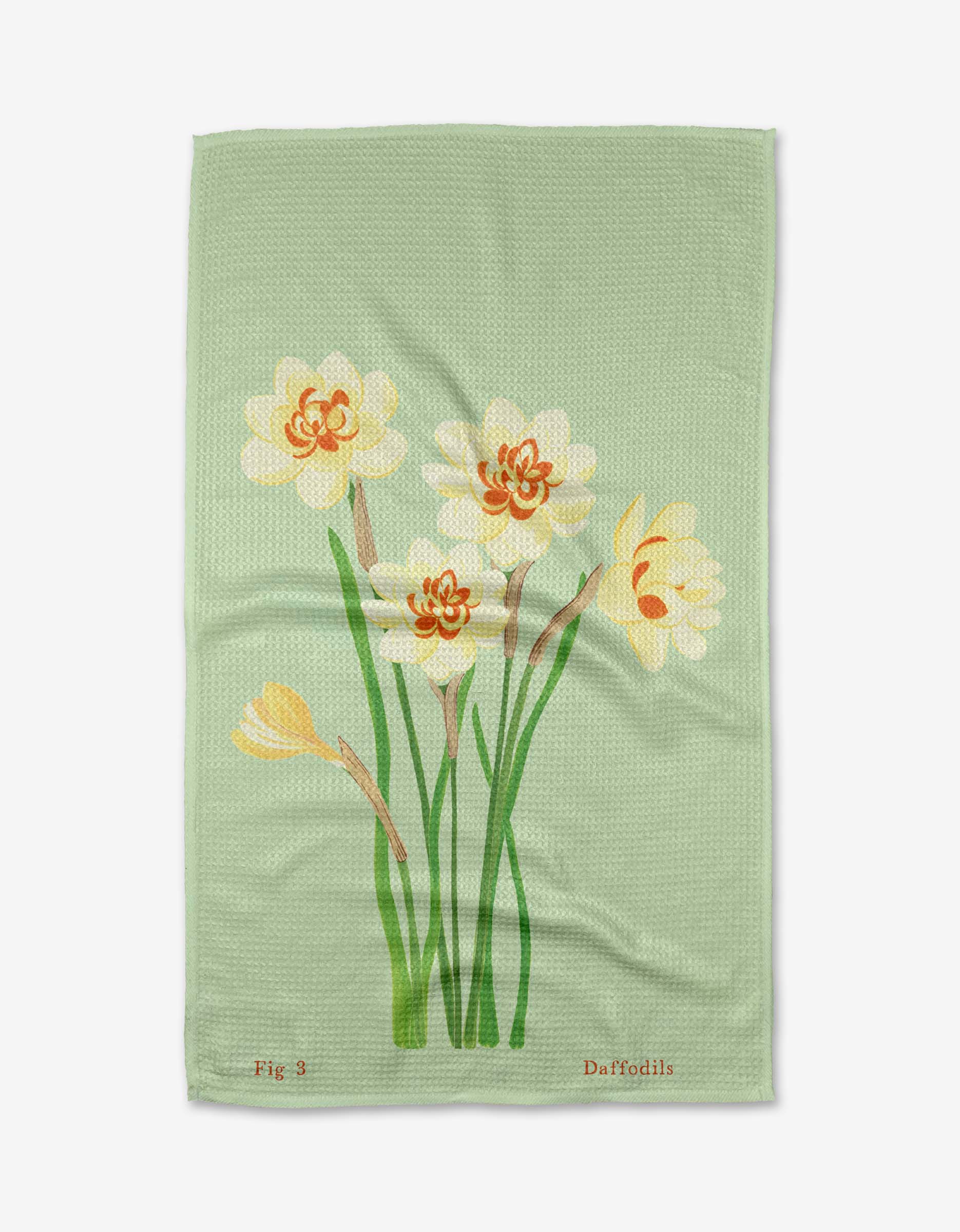 March Daffodils
