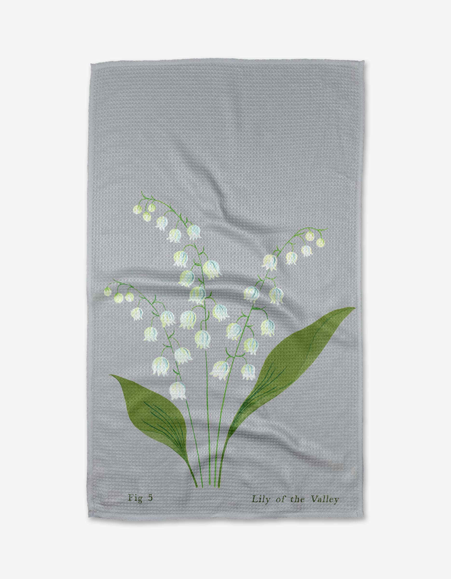 May Lilly Of The Valley