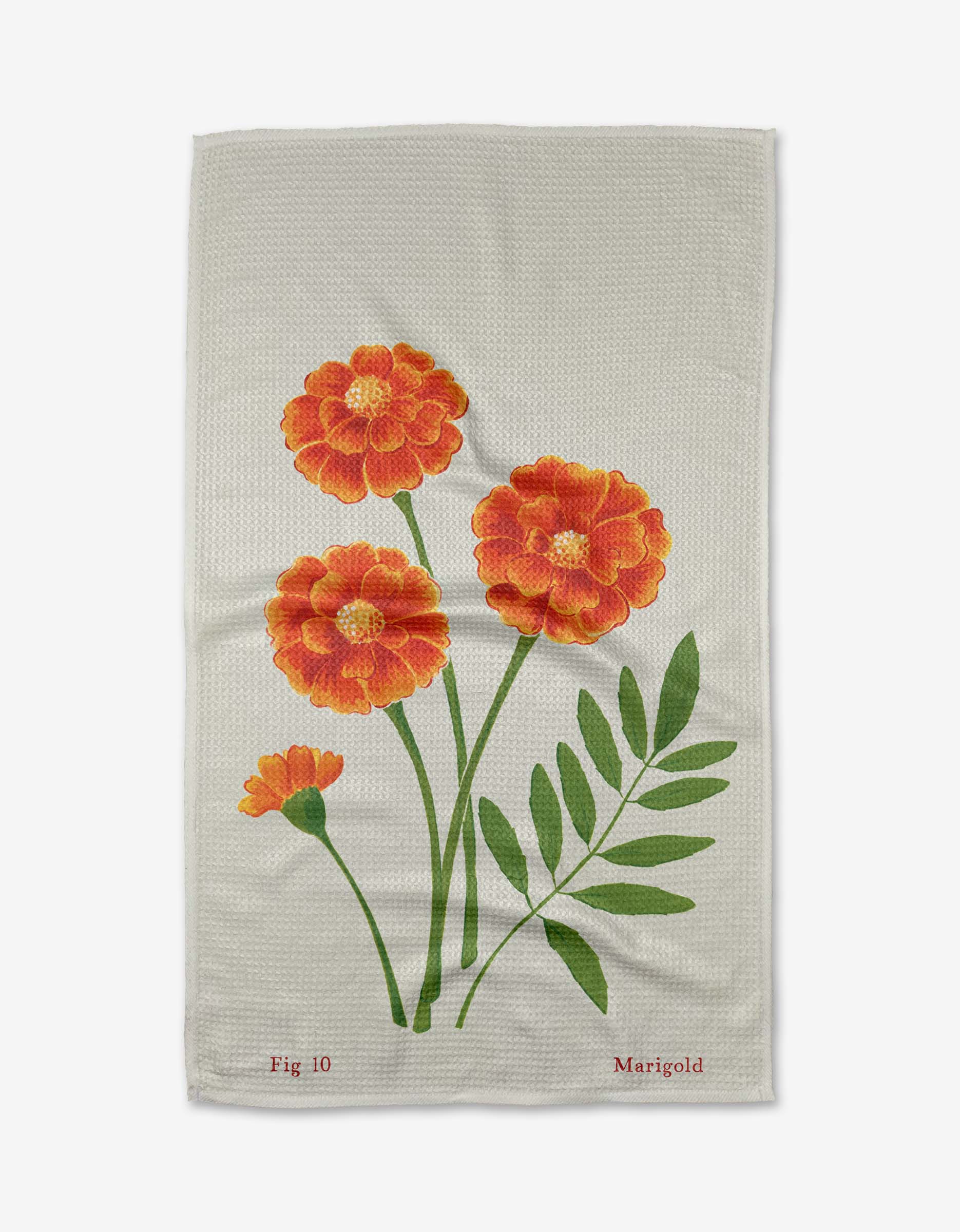 October Marigold