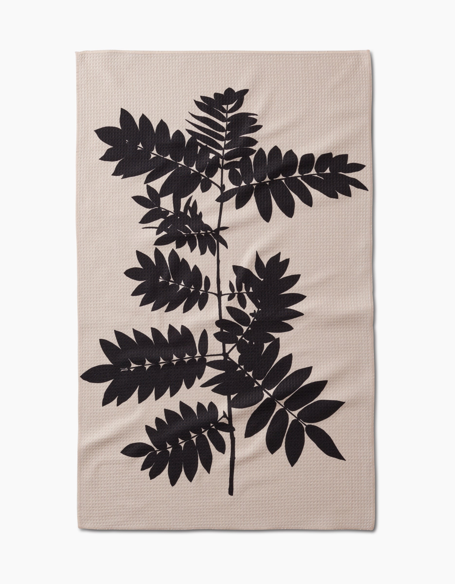 The Rowan tea towel by PrintedPlant features a bold black leafy branch silhouette on beige ultra-absorbent Geoweave fabric with a plain background and organic leaf shapes.