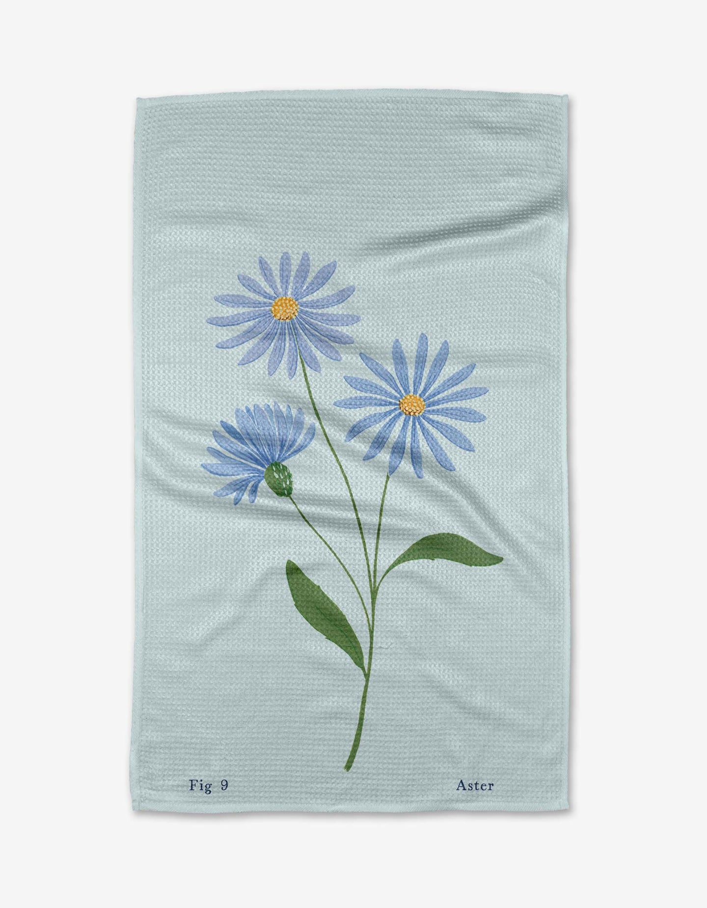 September Aster