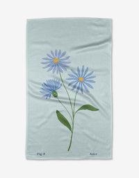 September Aster