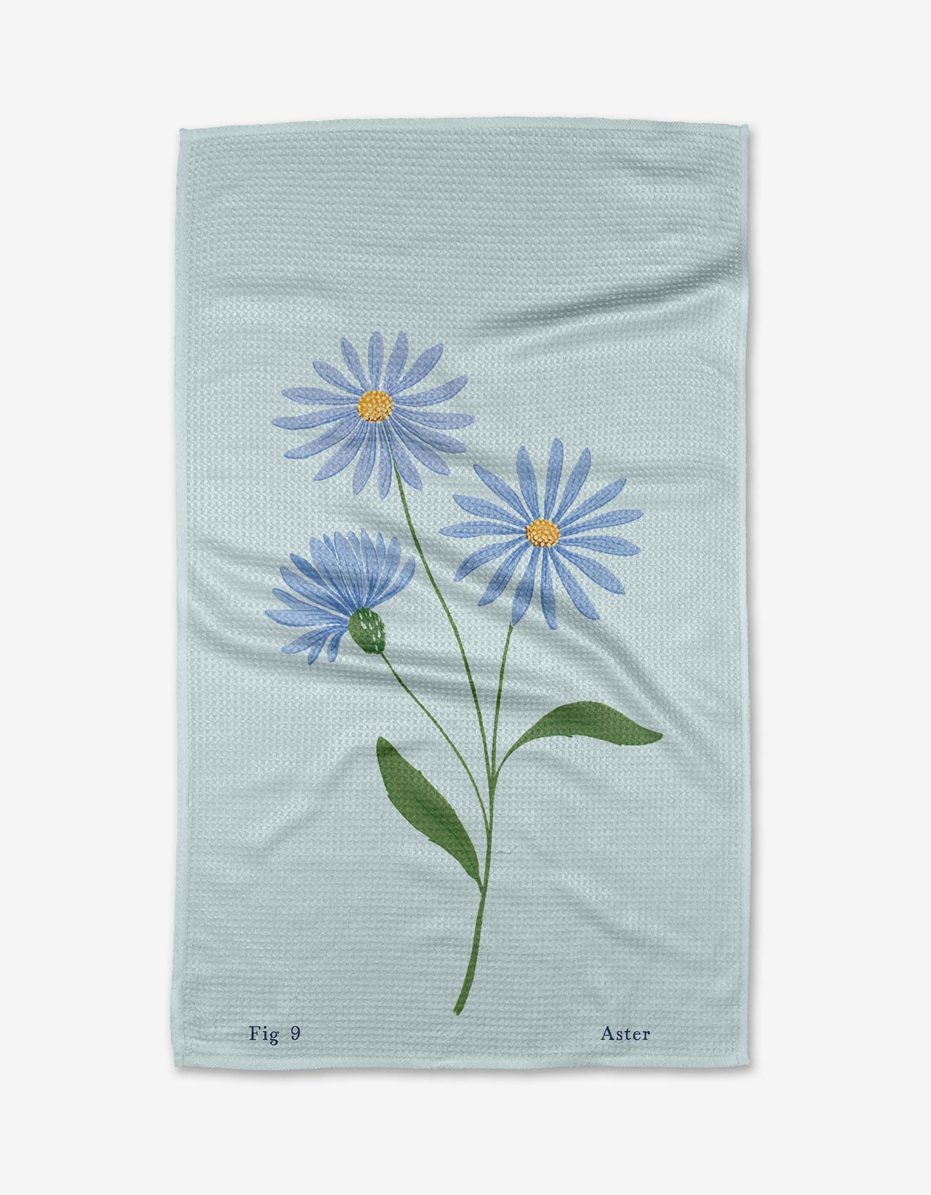 September Aster