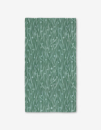 Kelp
